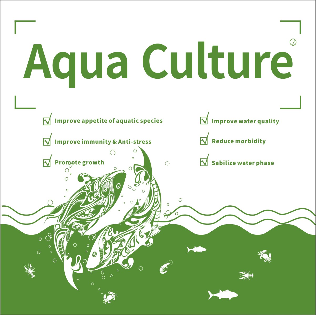  Aqua Culture